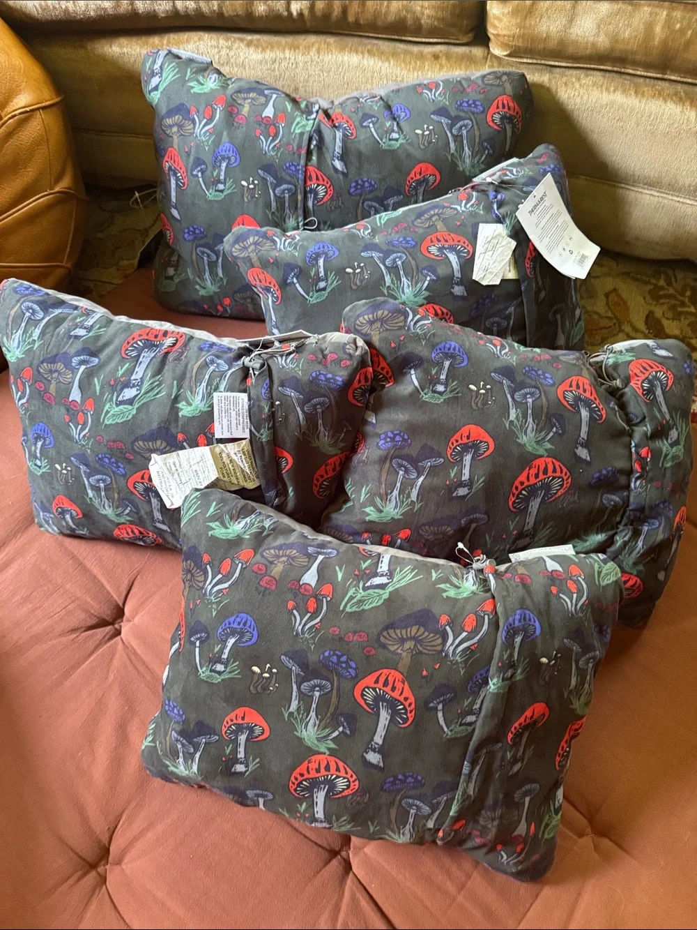Thermarest pillow compact camping Fun Guy mushrooms large NEW NWT